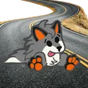 The Canid Corner