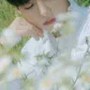 @ bloom ::