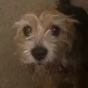 too slow Discord Server Icon