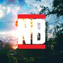 Fallout: Northern Beauty | DISBOARD: Discord Server List