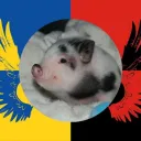 🐷свиной город