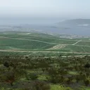 DayZ-Rheingau