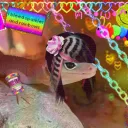 SCENE KIDZ X3⭐ Discord Server Icon