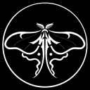 MOTH MADNESS