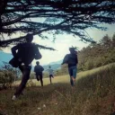 Camp halfblood Runaway group's icon