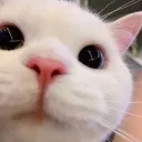 Milf Defenders's icon