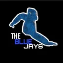 TBJ (The Blue Jays) Gorilla Tag Comp Clan