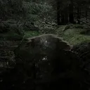 ⊹ 𝘃𝗶𝗿𝗶𝗱𝗲𝘀𝗰𝗲𝗻𝘁🌿