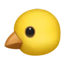 Canary
