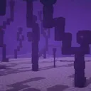 Ender Society