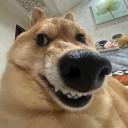 Kartoffel Kællinger