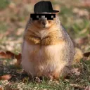 chunksterchunkus's server