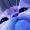 Shades of Blue discord icon