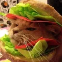 🐱 SERVER MISHIBURGUESA 🍔