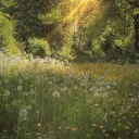 Misty Meadows