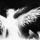 >𝑲𝒂𝒏𝒃𝒊𝒏𝒂⇢ ZOぞ Discord Server Icon