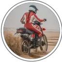 Affe Auf Bike