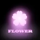 Flower🌺
