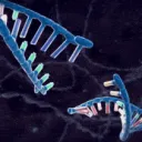 Nueva Oasis™ Discord Server Icon