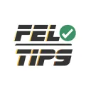 Felo Tips