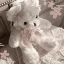 ﹢﹒ 𝐂𝐋𝐄𝐃𝙊𝐑𝐒₊˚ 𝜗𝜚