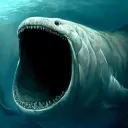 Bloop corp