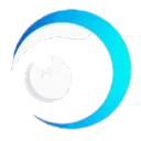 VisionX