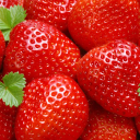 Strawberry Patch Server Icon