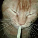 rads Discord Server Icon