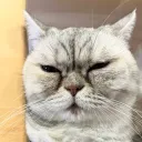 そらのサーバー