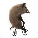 копилка для трусов твоей матери