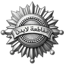 رول بلاي مدينة زيرو ون