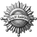 رول بلاي مقاطعة لايدن