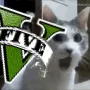 fat nigga relatives V Discord server icon
