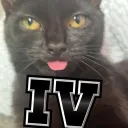 Server icon