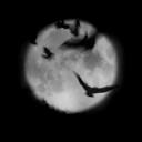 /Moon Discord Server Icon