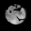 /Moon Discord Server Icon