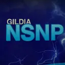 Zapasowy Discord Gildi NSNP