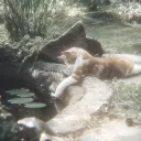 Midnight Boredom Discord Server Icon