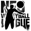 NEO VOLLEYBALL LEAGUE