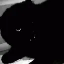 /aiired Discord Server Icon