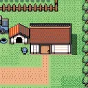 The Mighty Palm's House