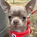 Для важных переговоров Discord server icon