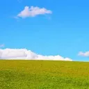 虹色鯖