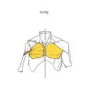 Anatomy 101 Discord Server Icon