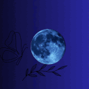 𝐁𝐥𝐮𝐞 𝐍𝐢𝐠𝐡𝐭 avatar