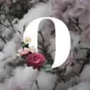  ~ Oasis ~  Discord Server Icon