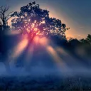 MysticGrind Season 1 Discord Server Icon