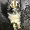 Cult Of The Black and White Fur