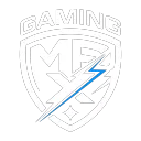TEAM MPX